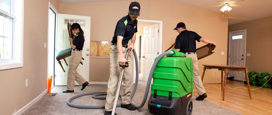 Pajarito Mesa, NM cleaning services